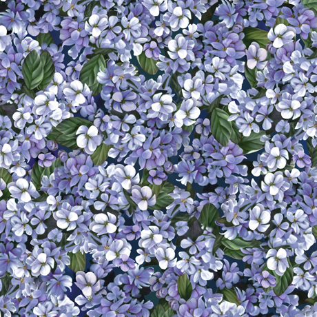 MINKY PRINTS             